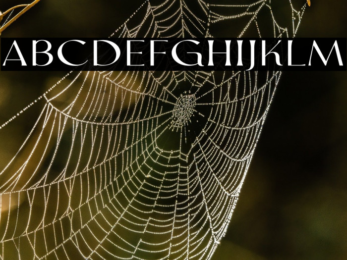 Valen Valentine Serif Шрифта examples