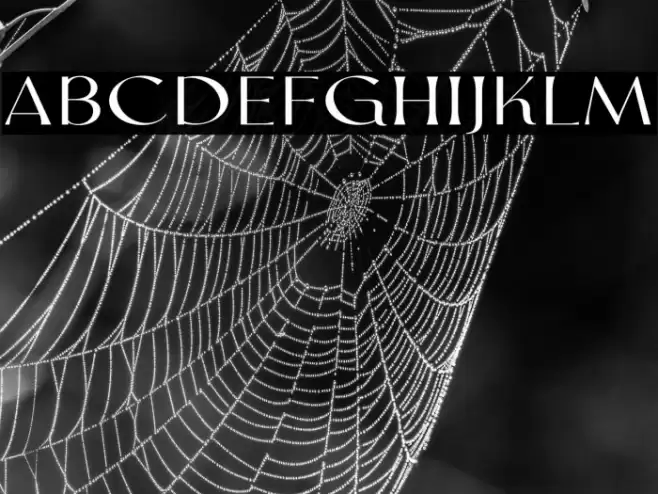 Valen Valentine Serif 字体 examples