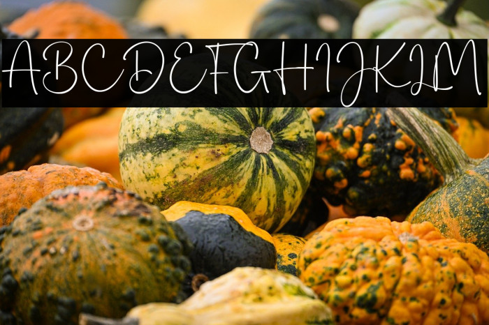 Valencia Nature Example 2