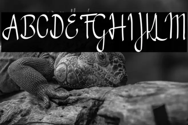 Valencia Script Font examples