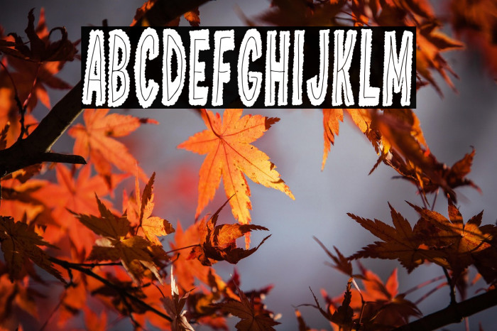 Valencia Tiki Toons Example 1