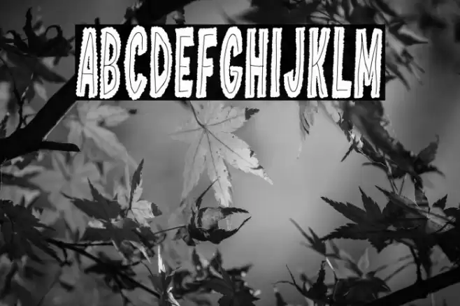 Valencia Tiki Toons Fonte examples