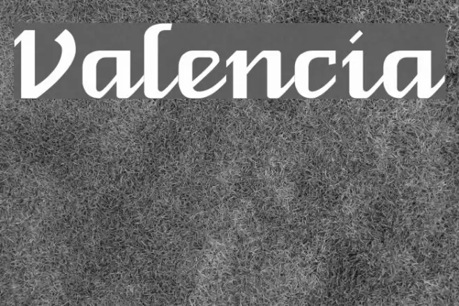 Valencia Font examples