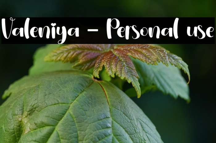 Valeniya - Personal use Example 1