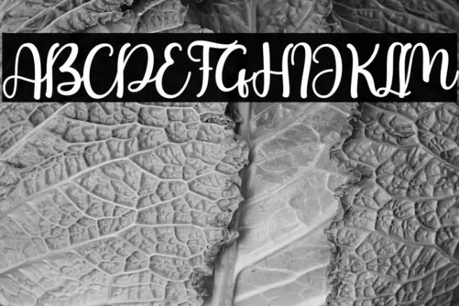 Valentday Font examples