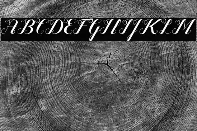 Valentijn FreeVersion Font examples