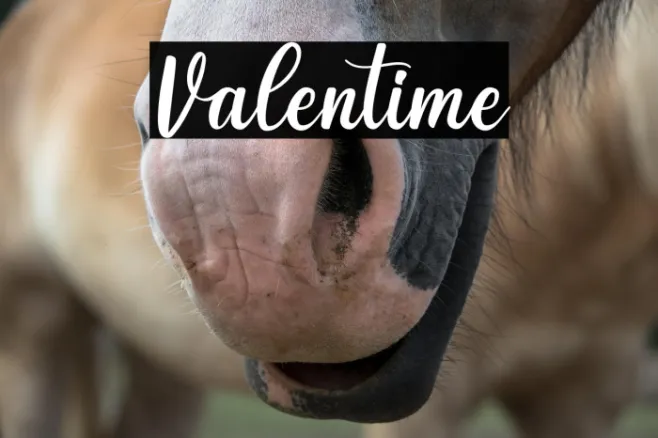 Valentime Example 1