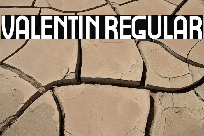 Valentin Regular Example 1