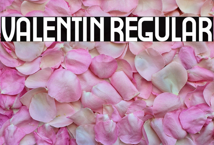 Valentin Regular Example 2