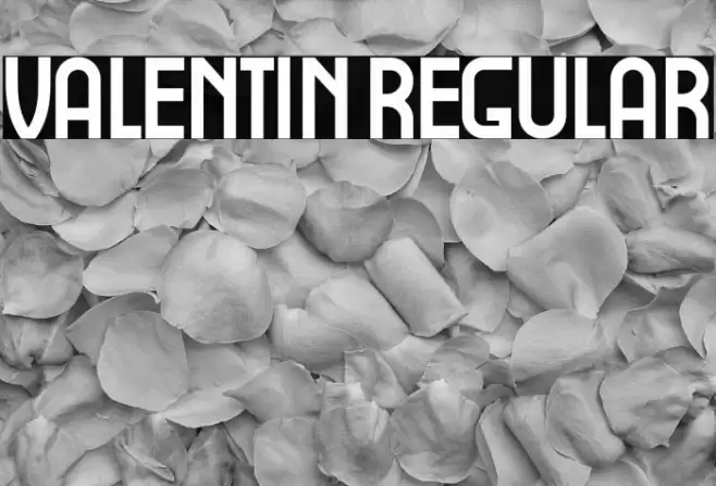 Valentin Regular Font examples