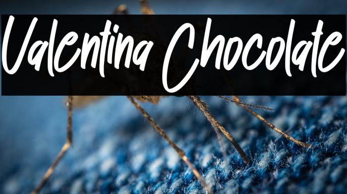 Valentina Chocolate Example 1