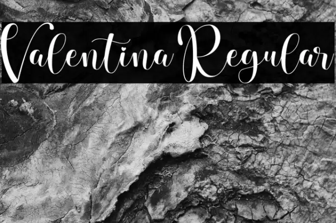 Valentina Regular Font examples