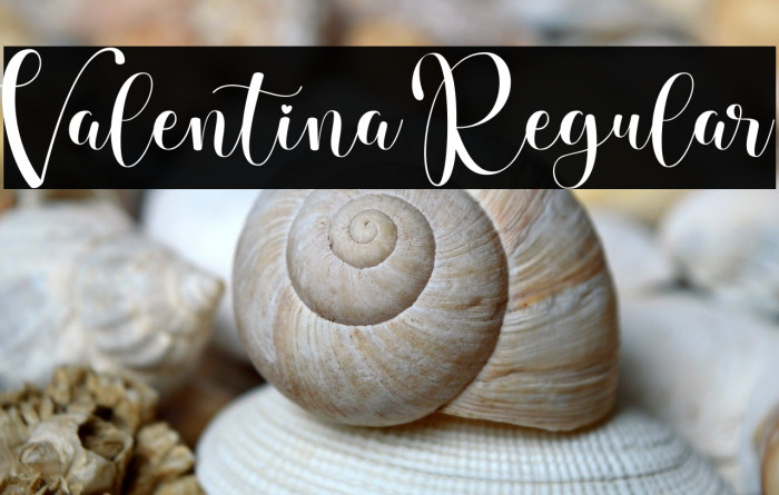 Valentina Regular Example 2