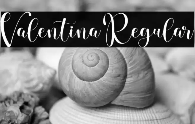 Valentina Regular Font examples