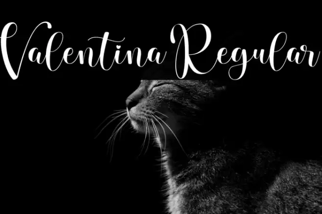 Valentina Regular Font examples