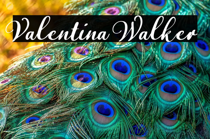 Valentina Walker Example 1