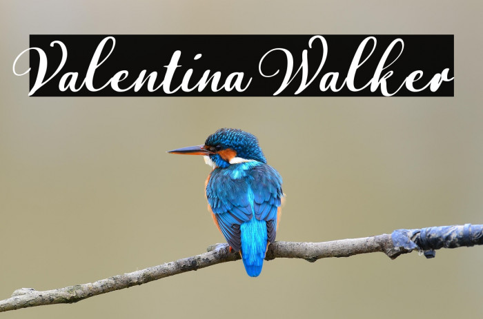 Valentina Walker Example 2