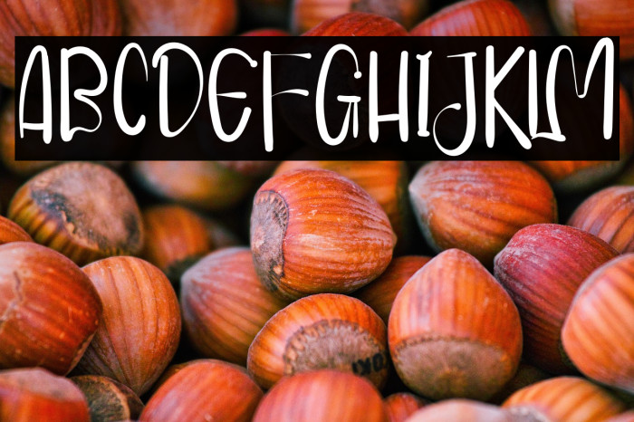 ValentinaFioleteRegular Example 1