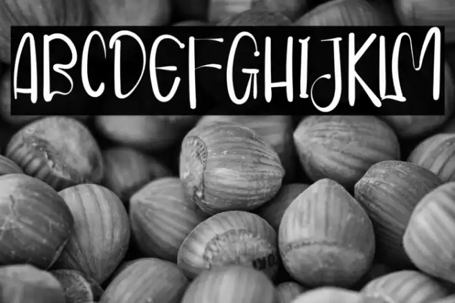 ValentinaFioleteRegular Font examples