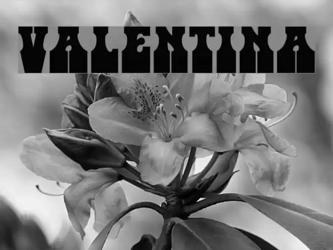 Valentina Font examples