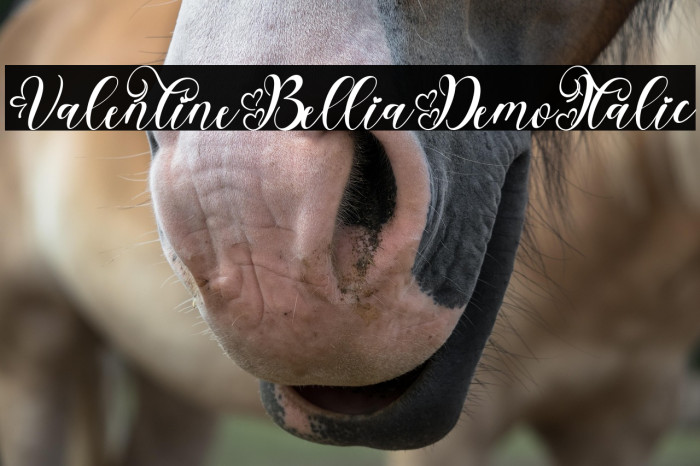 Valentine Bellia Demo Italic Example 2