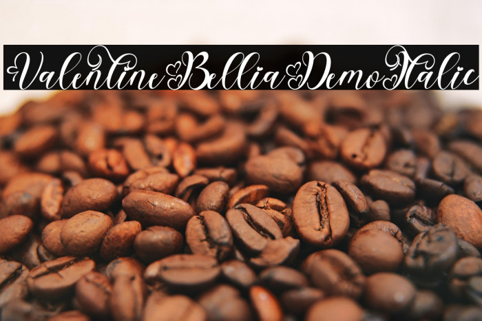 Valentine Bellia Demo Italic Example 3