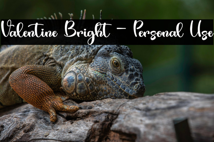 Valentine Bright - Personal Use Example 1