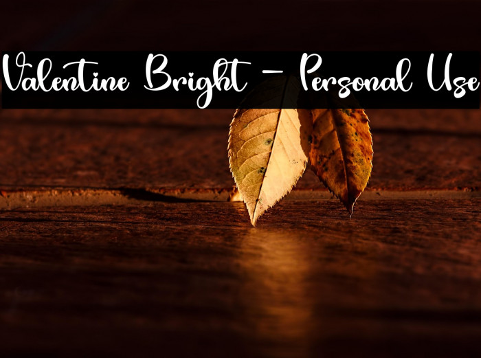 Valentine Bright - Personal Use Example 2