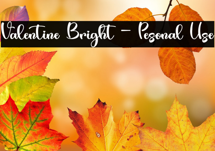 Valentine Bright - Pesonal Use Example 1