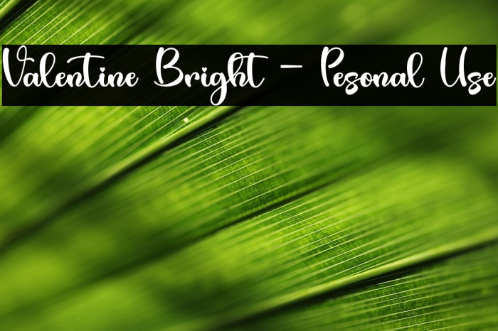 Valentine Bright - Pesonal Use Example 2