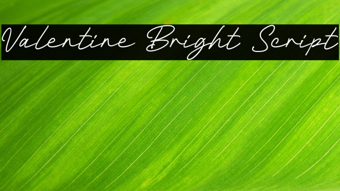 Valentine Bright Script Example 1