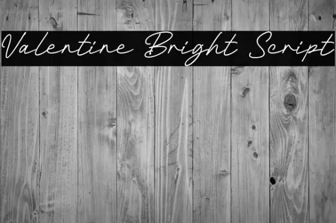 Valentine Bright Script Schriftart examples