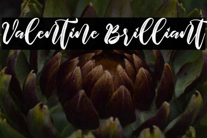 Valentine Brilliant Example 2