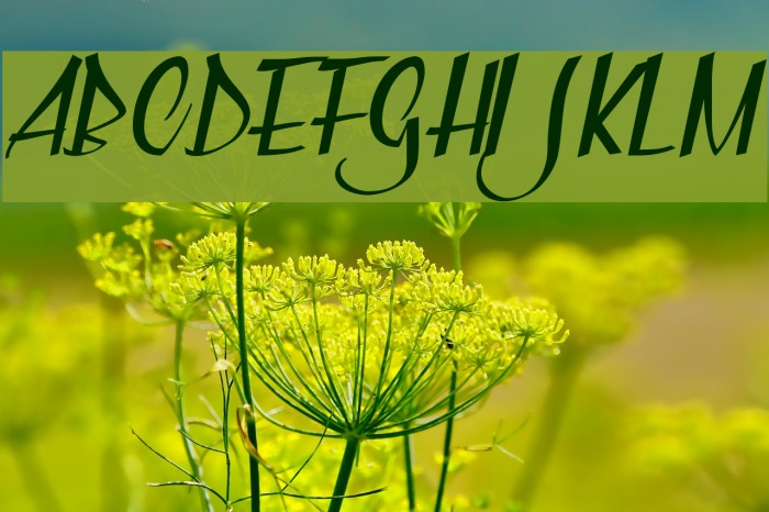 Valentine Day Personal Use Regular Example 1