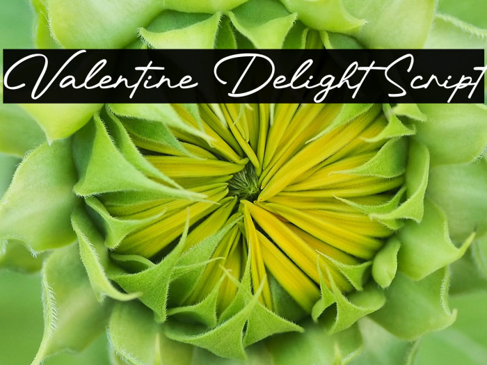 Valentine Delight Script Example 1