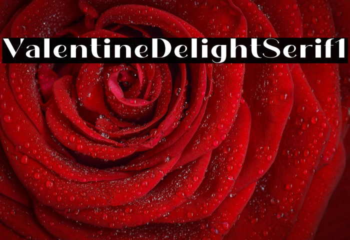 Valentine Delight Serif1 Example 3
