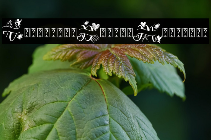 Valentine Delion Monogram Example 1