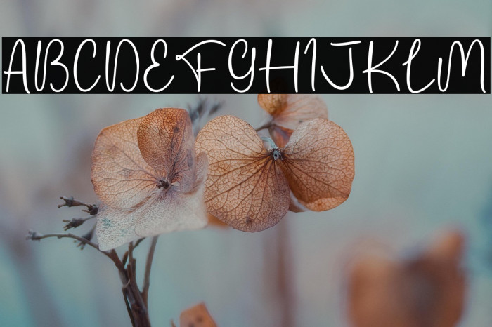 Valentine Girls Example 3