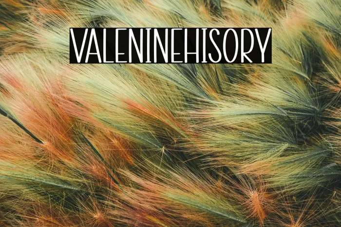 Valentine History Example 2