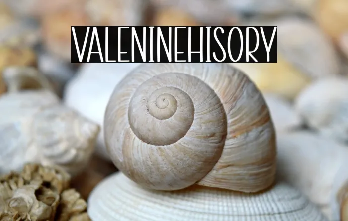 Valentine History Example 3