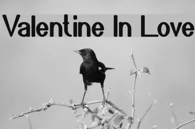 Valentine In Love Font examples