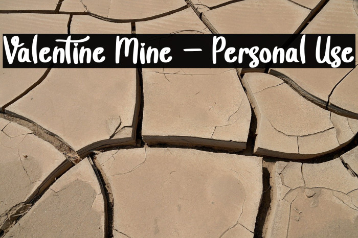 Valentine Mine - Personal Use Example 3