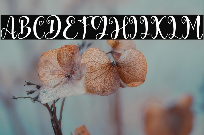 Valentine Moment Example 1