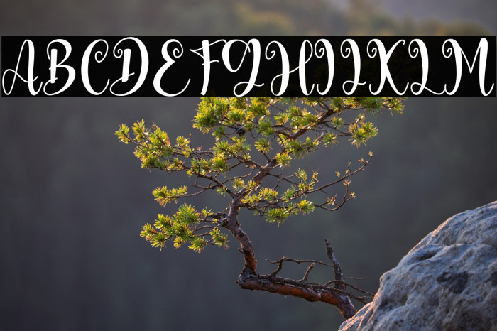 Valentine Moment Example 3