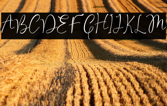 Valentine Moon Example 2