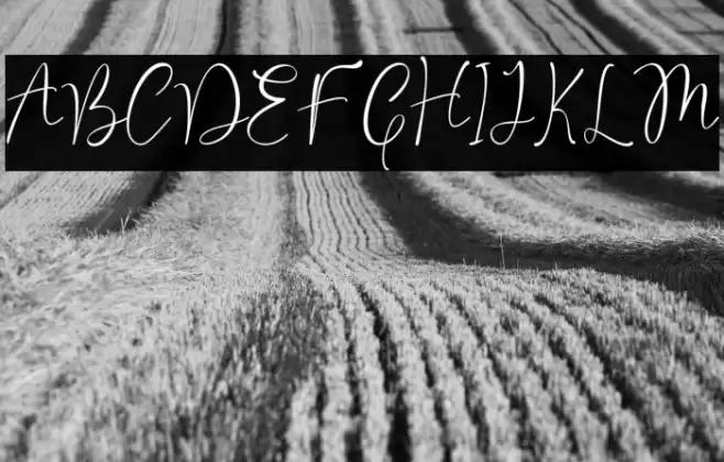 Valentine Moon Font examples