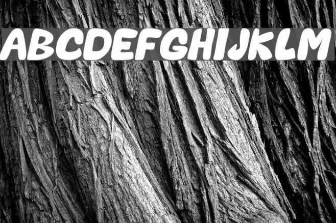 Valentine Oblique Font examples