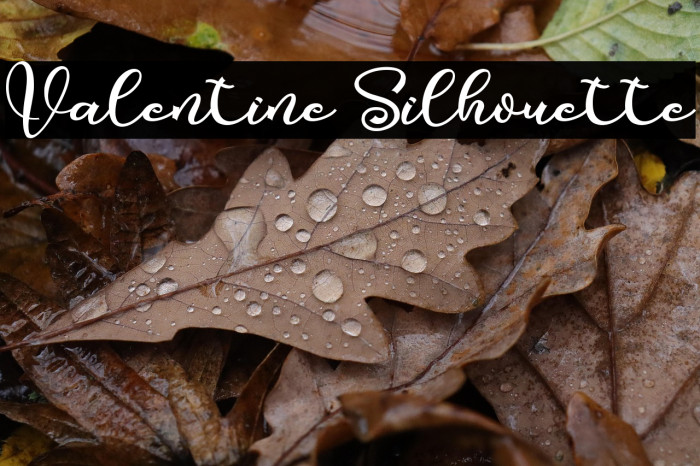 Valentine Silhouette Example 1