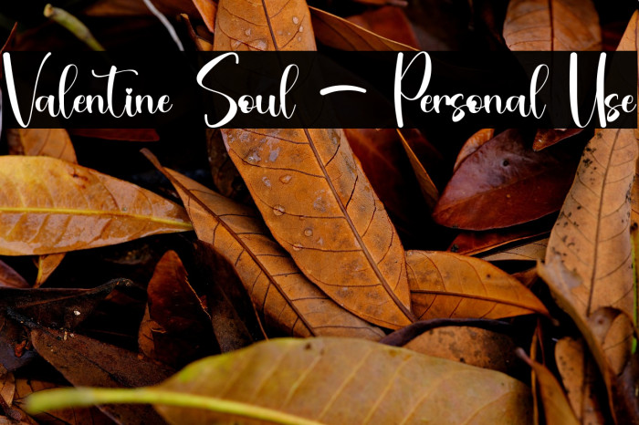 Valentine Soul - Personal Use Example 1