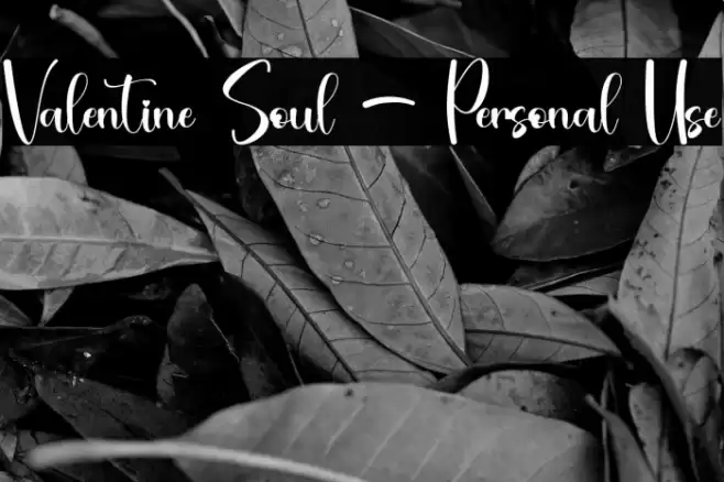 Valentine Soul - Personal Use Font examples